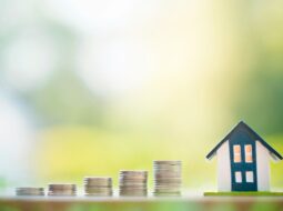 First Property